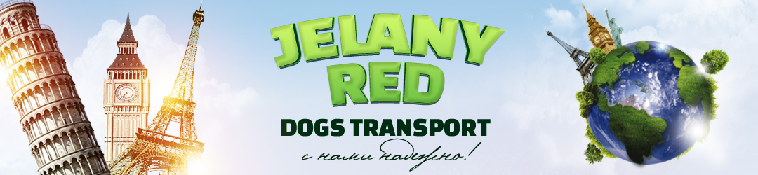 Jelany Red Dogs Transport